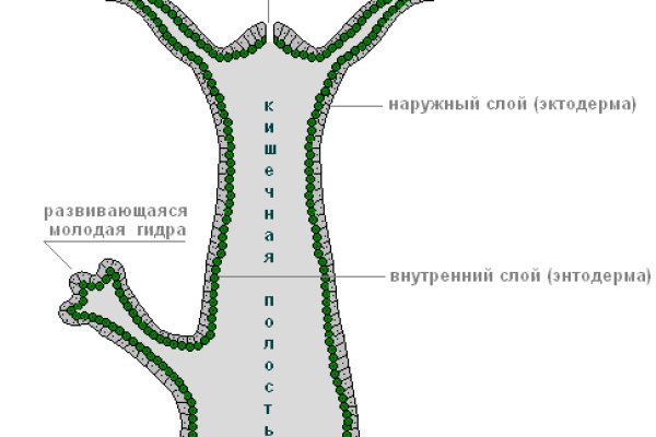 Как вернуть аккаунт кракен