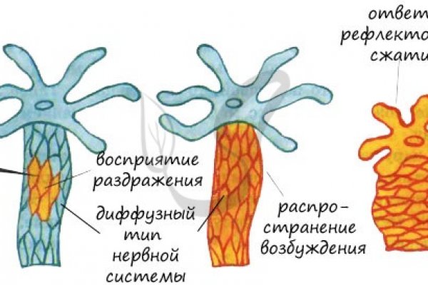 Kraken даркнет рынок ссылка