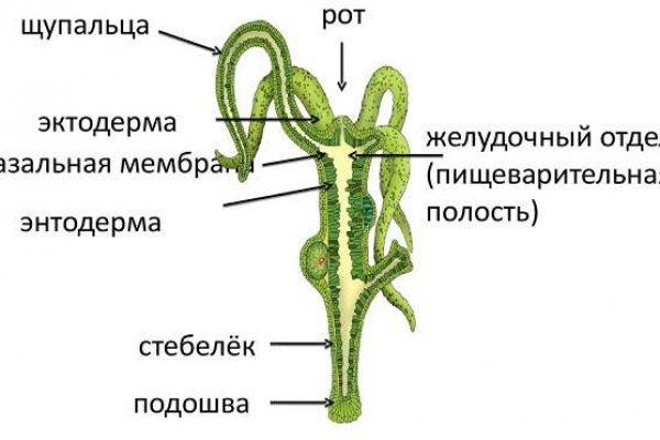 Даркнет вход